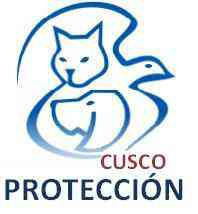 Logo Cusco proteccion de Animales 